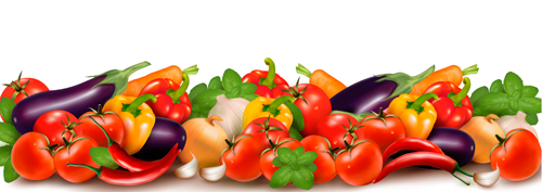 500x177 Various Vegetable Vector Art Background Free Download
