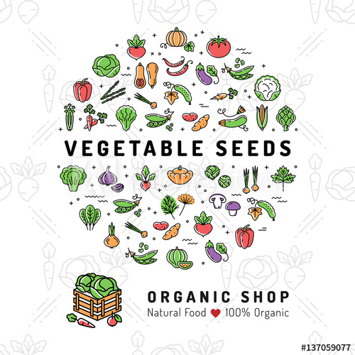 500x500 Vegetable Seeds Banner Organic Shop Natural Product Card Seed