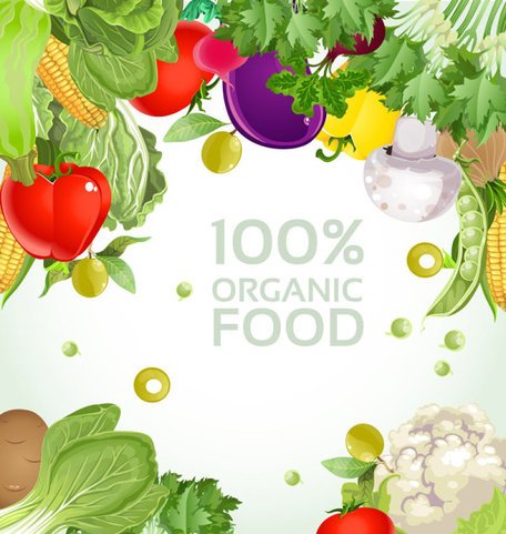 456x481 Free Vegetable Background Clipart And Vector Graphics
