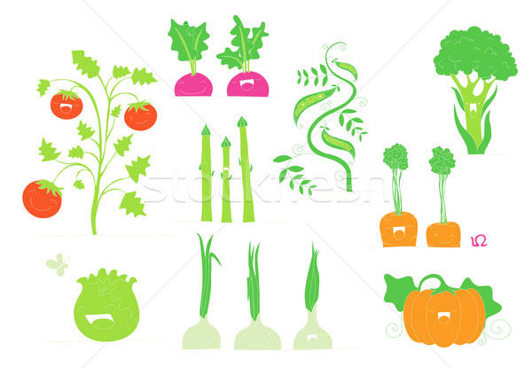 600x415 Happy Veggies Vector Illustration Zsofia Szegedy