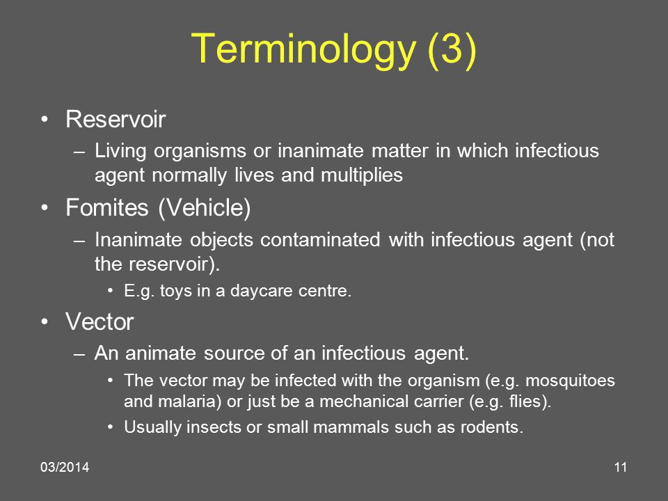 960x720 N Birkett, Md Epidemiology Community Medicine