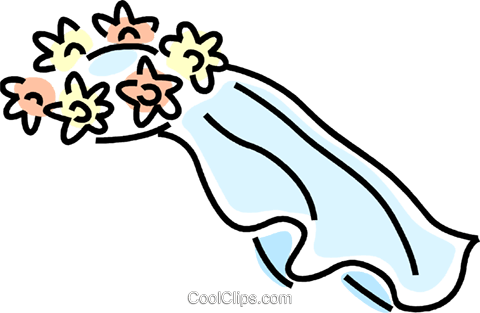 480x313 Bridal Veil Royalty Free Vector Clip Art Illustration