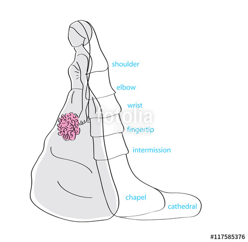 500x489 Bride Silhouette Choice Length Wedding Veil Vector Illustration