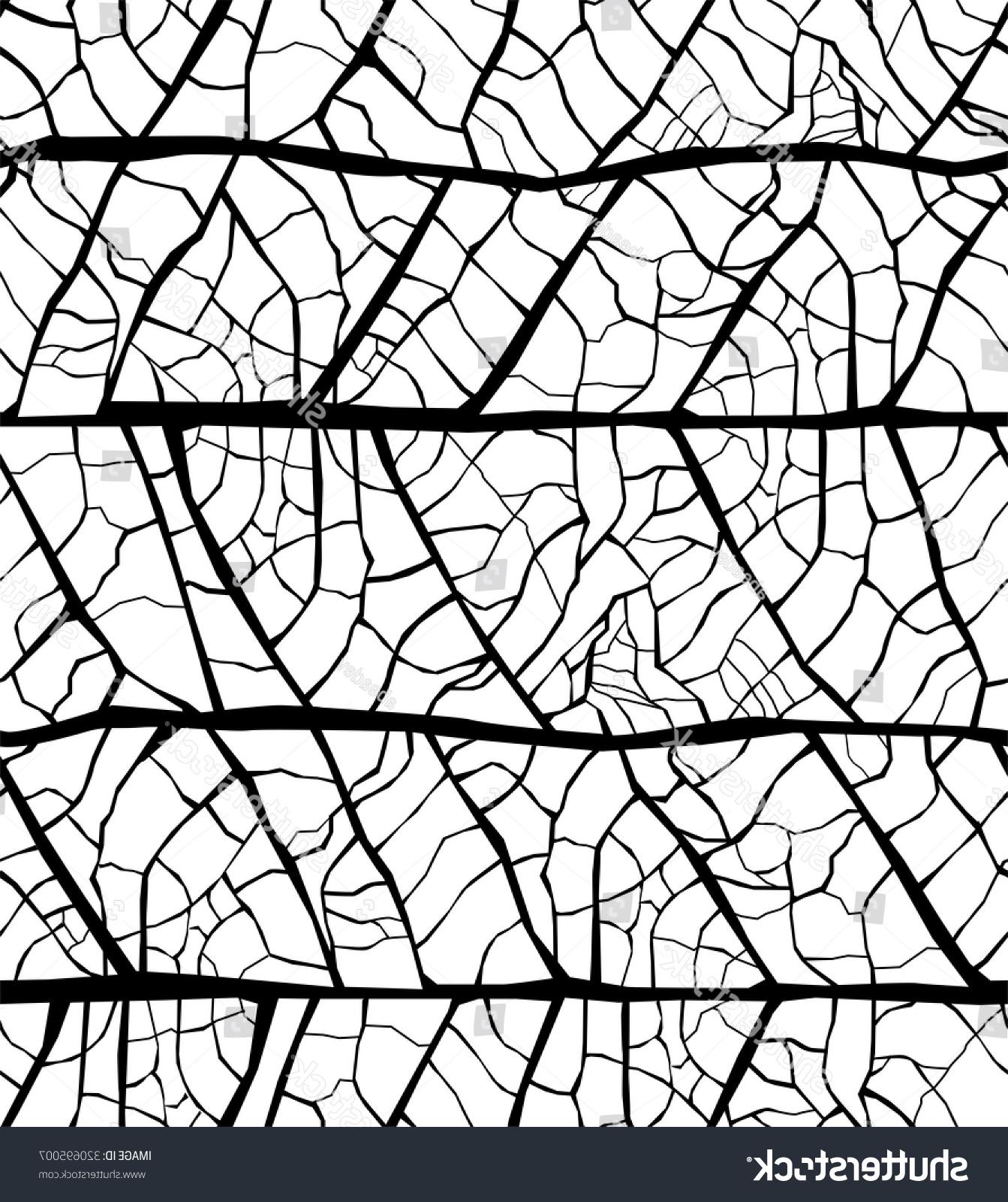 1343x1600 Unique Black And White Leaf Veins Vector Free Free Vector