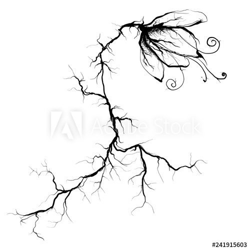 500x500 Abstract Flower With Roots Veins, Vector Illustration