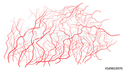 500x288 Eye Vein Vector Symbol Icon Design Beautiful Illustration