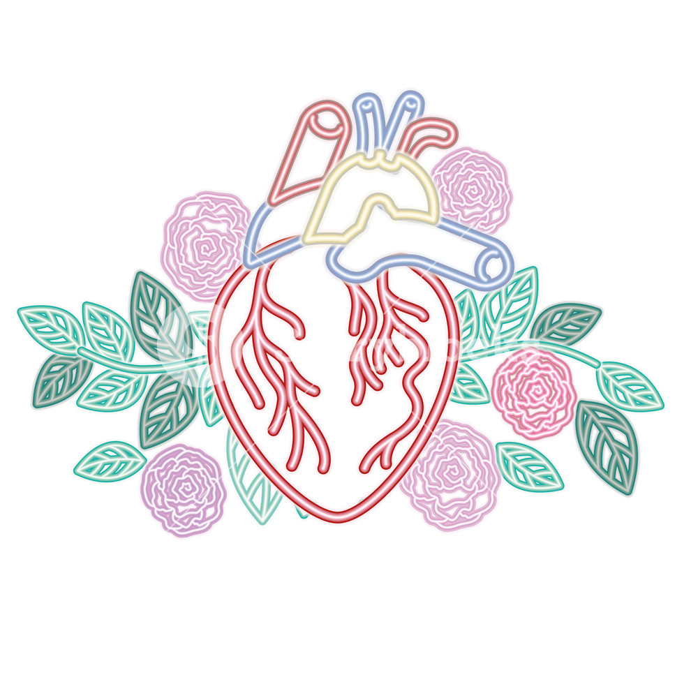 1000x1000 Heart With Veins And Flowers Isolated Icon Vector Illustration