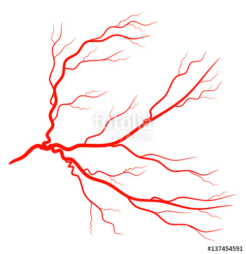 485x500 Red Eye Vein Vector Symbol Icon Design Stock Image And Royalty