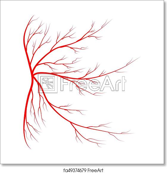 561x581 Free Art Print Of Spider Vein Vector Symbol Icon Design Beautiful