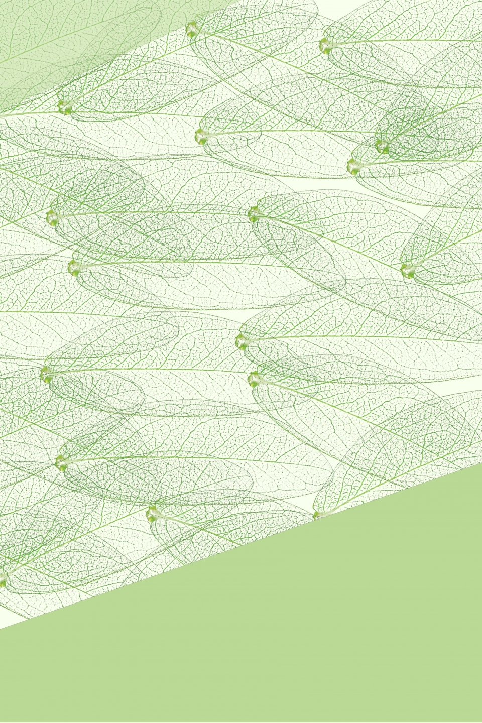 960x1440 Green Fresh Veins Vector Background Material, Green, Fresh, Green