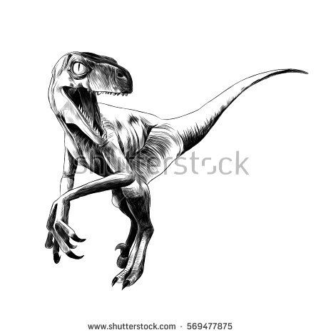 450x470 Dinosaur Velociraptor Sketch Vector Jacks Bedroom Sketches