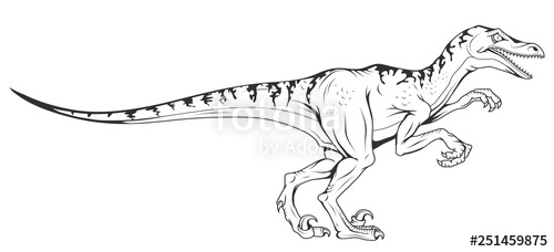 500x228 Velociraptor Vector Dinosaur Vector Graphic To Design Stock