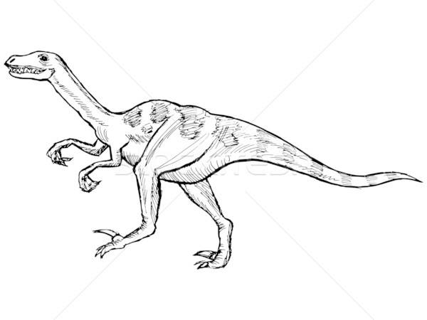 600x450 Velociraptor Vector Illustration Oleksandr Kovalenko