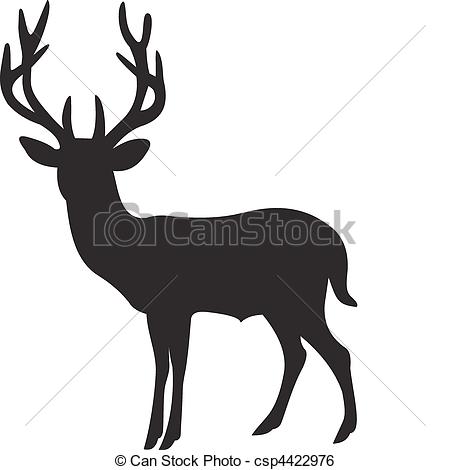 Venado Vector