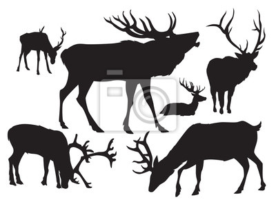 400x293 Siluetas Vector Venado Pinturas Para La Pared Cuadros Alce