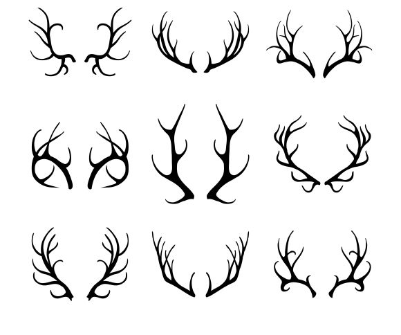 580x484 Vector Deer Antlers