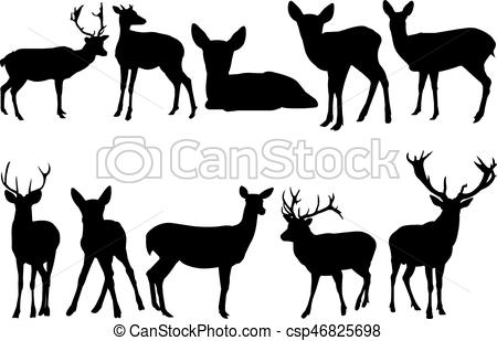 450x309 Venado, Vector, Silueta