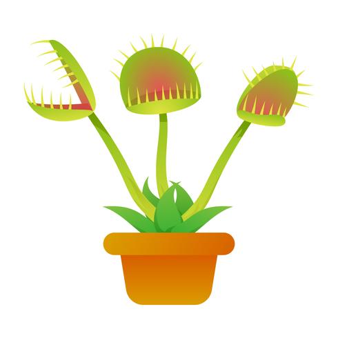490x490 Unique Venus Fly Trap Vectors