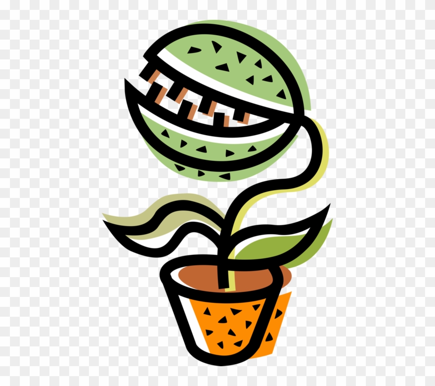 880x780 Vector Illustration Of Exotic Venus Fly Trap Flower