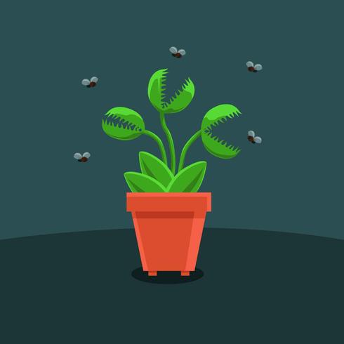 490x490 Venus Fly Trap Flat Vector Illustration