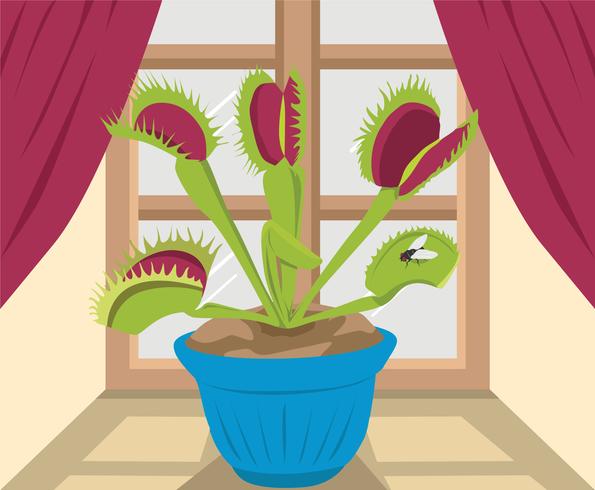 595x490 Venus Fly Trap Plant Vector