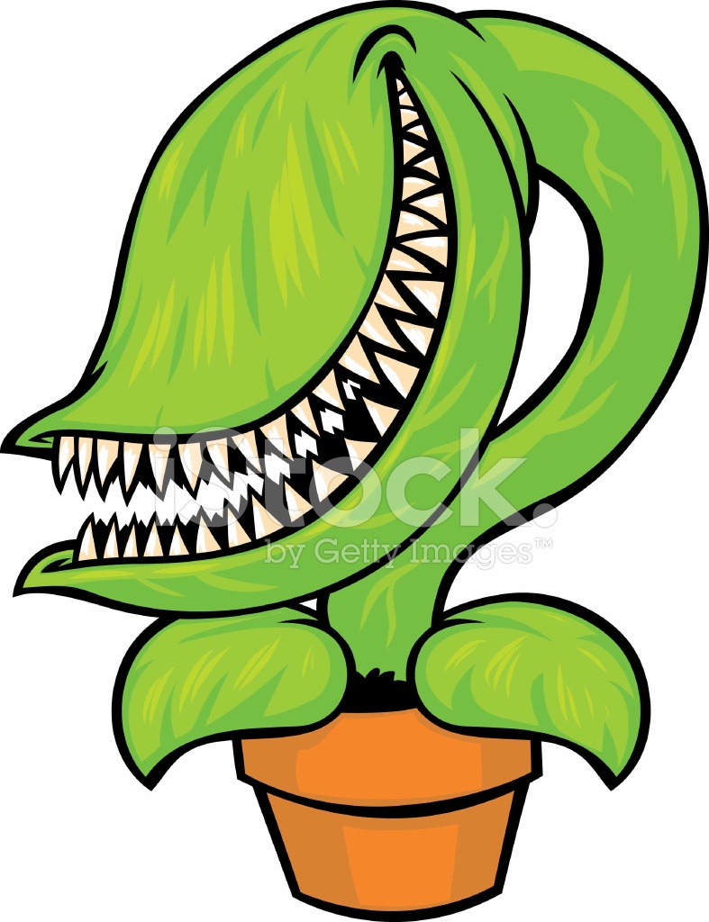 787x1024 Venus Flytrap Stock Vector