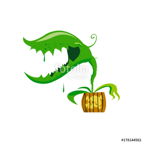 500x500 Venus Flytrap Stock Image And Royalty Free Vector