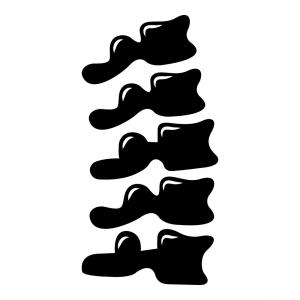 300x300 Isolated Human Spine And Vertebrae Black Icon Vector Catchsplace