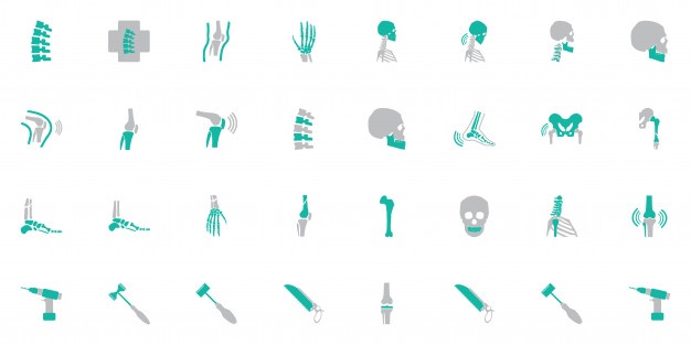 626x313 Spine Vectors, Photos And Free Download