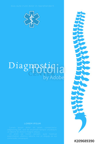Vertebral Column All Vertebrae Cervical Thoracic Lumbar Sacral 334x500 Vertebral Column All Vertebrae Cervical Thoracic Lumbar Sacral
