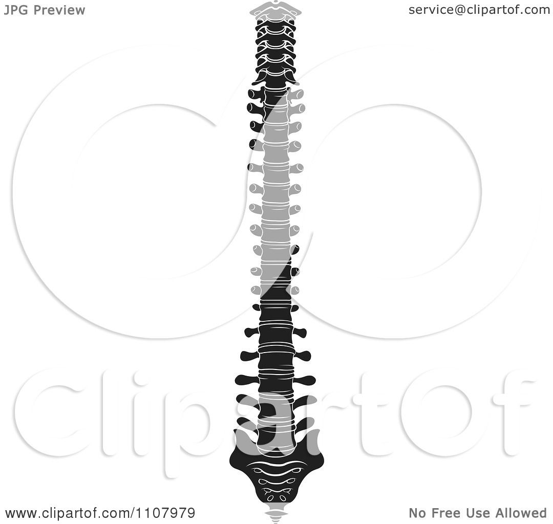 1080x1024 Clipart Black And White Human Spine