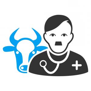 300x300 Photostock Vector Vet Icons Set Simple Style Of Vet Vector Icons