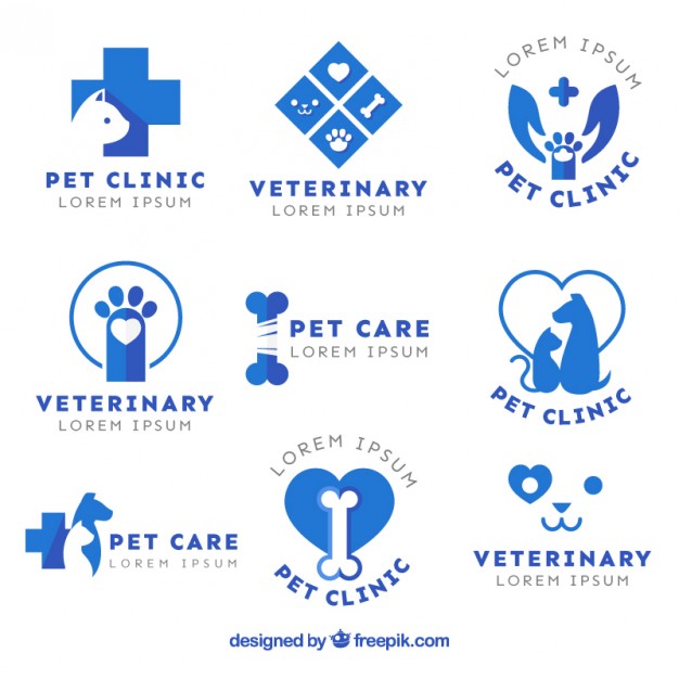 626x626 Vet Vectors, Photos And Free Download