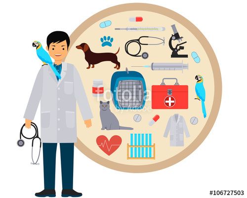 500x400 Vet Equipment And Tools For Veterinary Clinic Vector