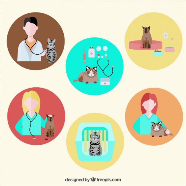 626x626 Veterinary Icons Vector Free Download