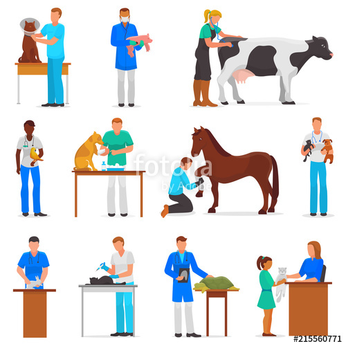 500x500 Veterinary Vector Veterinarian Doctor Man Or Woman Treating Pet