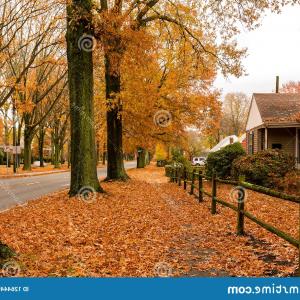 300x300 Logo Vector Logo Fonts, Volkswagen Logo Vector, Vp Racing Fuel