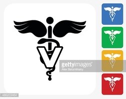 253x199 Veterinarian Caduceus Icon Flat Graphic Design Stock Vectors