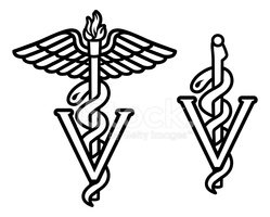 249x200 Veterinarian Caduceus Stock Vectors