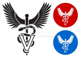 280x200 Veterinary Caduceus Black White With Color Set Stock Vectors