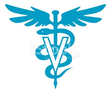 358x300 Veterinary Symbol