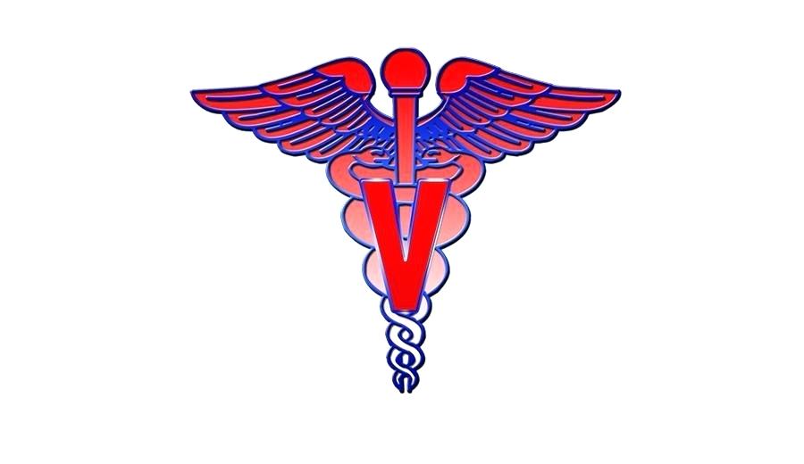 900x520 Vet Symbol