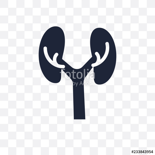 500x500 Veterinary Transparent Icon Veterinary Symbol Design From Health