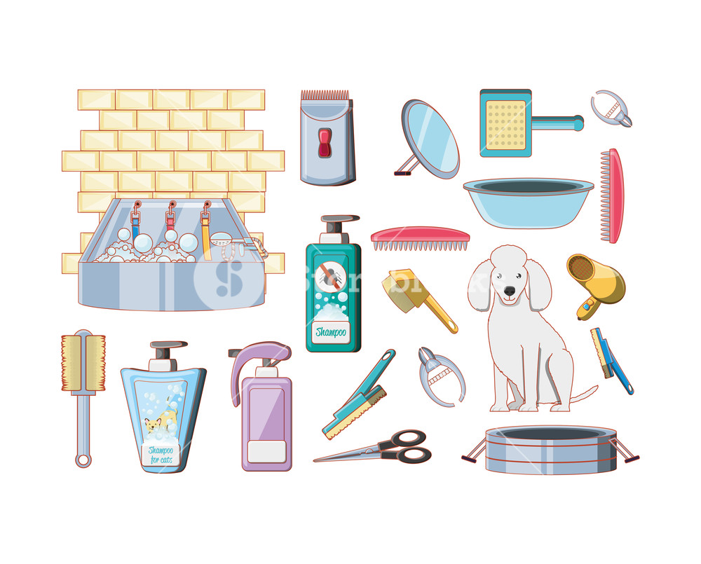 1000x805 Pet Shop Veterinary Elements Vector Illustration Design Royalty