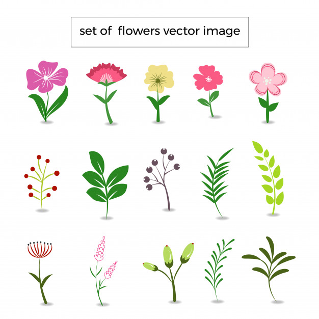 626x626 Watercolour Flower Set Of Vetor Vector Premium Download