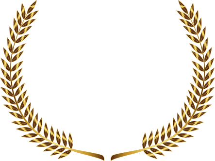 443x332 Vetor Vector Golden Borda Dourado Ouro Gold