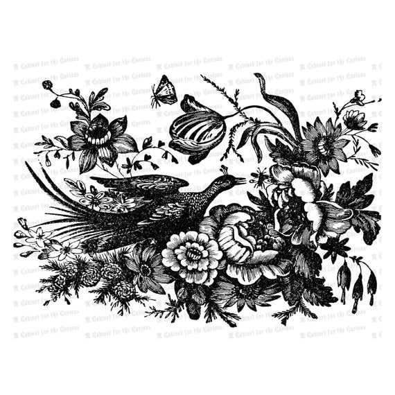 570x570 Victorian Pheasant With Butterfly And Flowers Vector Clip Art Etsy