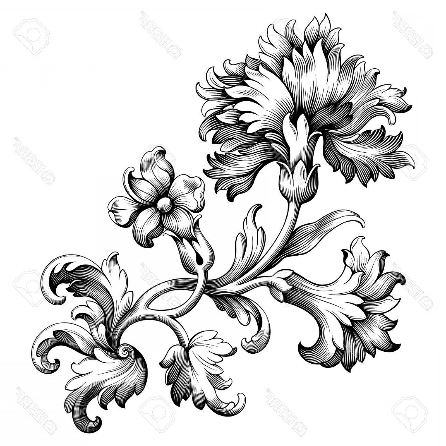 1560x1560 Victorian Frame Border Baroque Victorian Victorian Flower Border