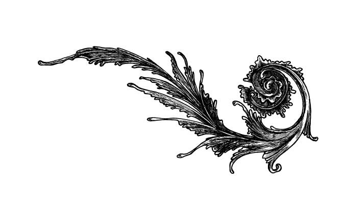 Ornament Vector Vectorish 680x395 Ornament Vector Vectorish