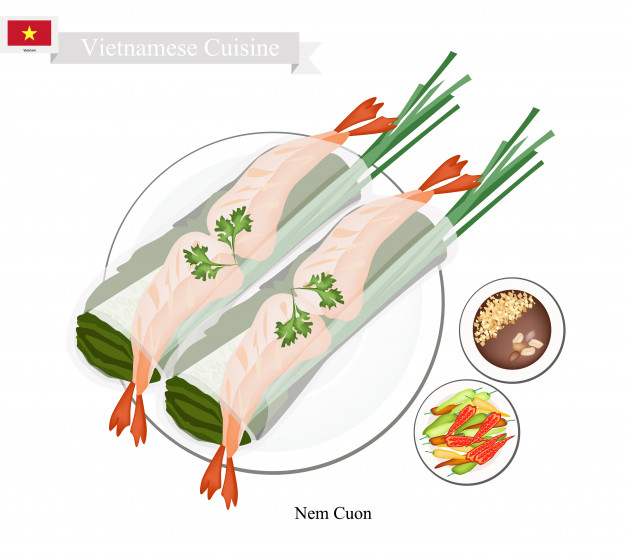 Nem Cuon Or Vietnamese Traditional Spring Rolls Vector Premium 626x556 Nem Cuon Or Vietnamese Traditional Spring Rolls Vector Premium